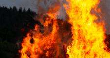 Wildfire