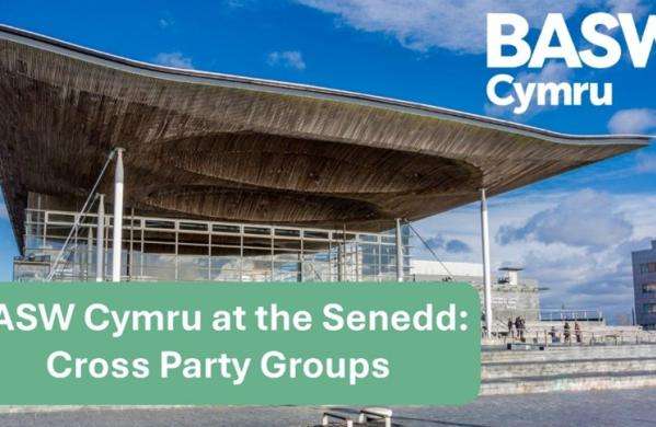 picture of the Senedd with the text BASW Cymru CPG work