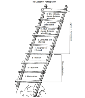Image of the ladder of partipication