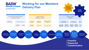 BASW Northern Ireland nation delivery plan